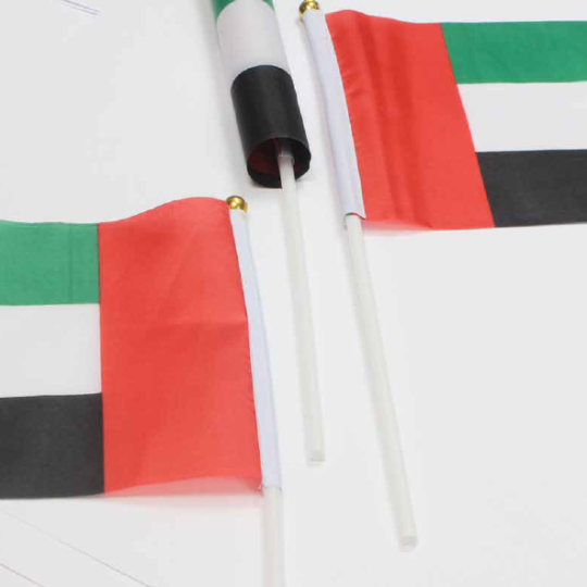 https://ibs-uae.com/innovate/wp-content/uploads/2015/11/National-Flag-UAE-540x540.png